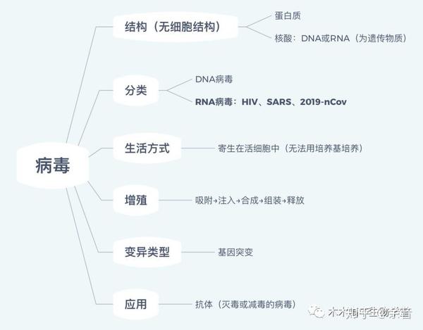 最新病毒总结报告，全面梳理与分析病毒动态