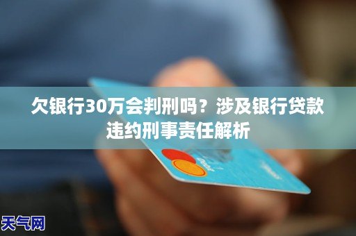 最新贷款违约处理指南，从初学者到进阶用户的步骤解析