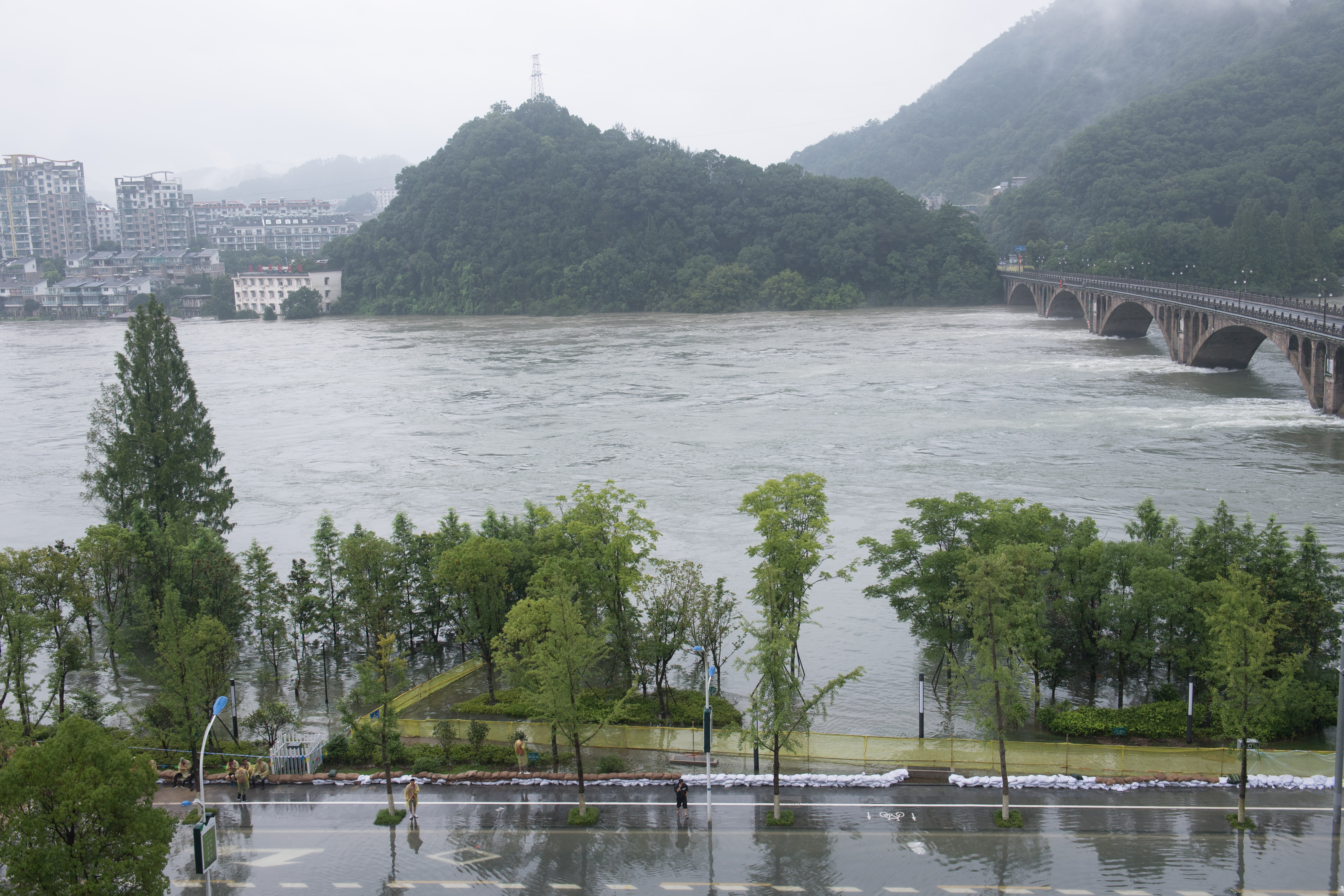 新安江最新水位查询指南，适用于初学者与进阶用户的步骤指南