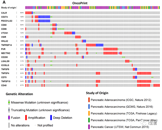 55123新澳精准资料查询,数据详解说明_目击版44.595