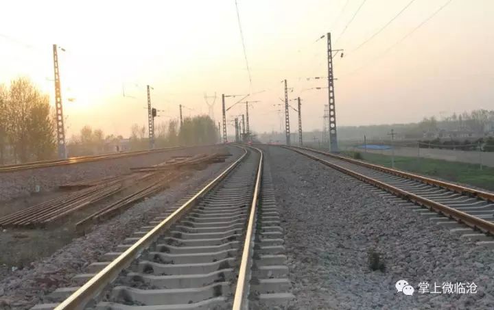 今晚四不像最准确一肖,铁路公路水运_快速版73.103