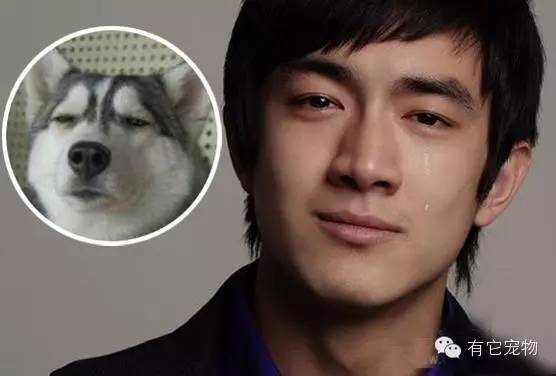 明星撞脸动物与神秘小巷小店探秘