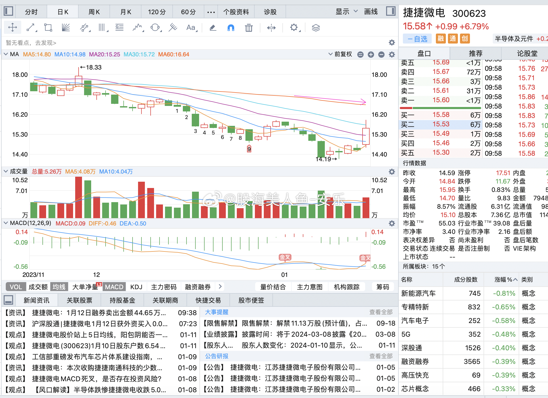 300623股票行情,揭秘小巷深处的宝藏，300623股票行情与一家特色小店的独特魅力