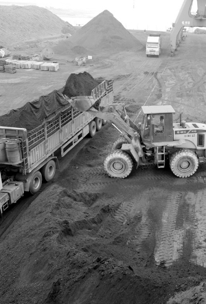 秦皇岛煤价格最新行情解析，获取与分析煤价信息的指南