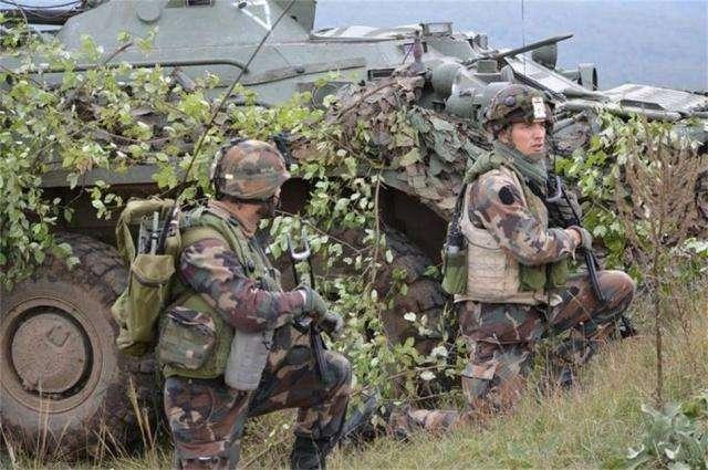 特种部队小组最新动态深度解析与观点阐述