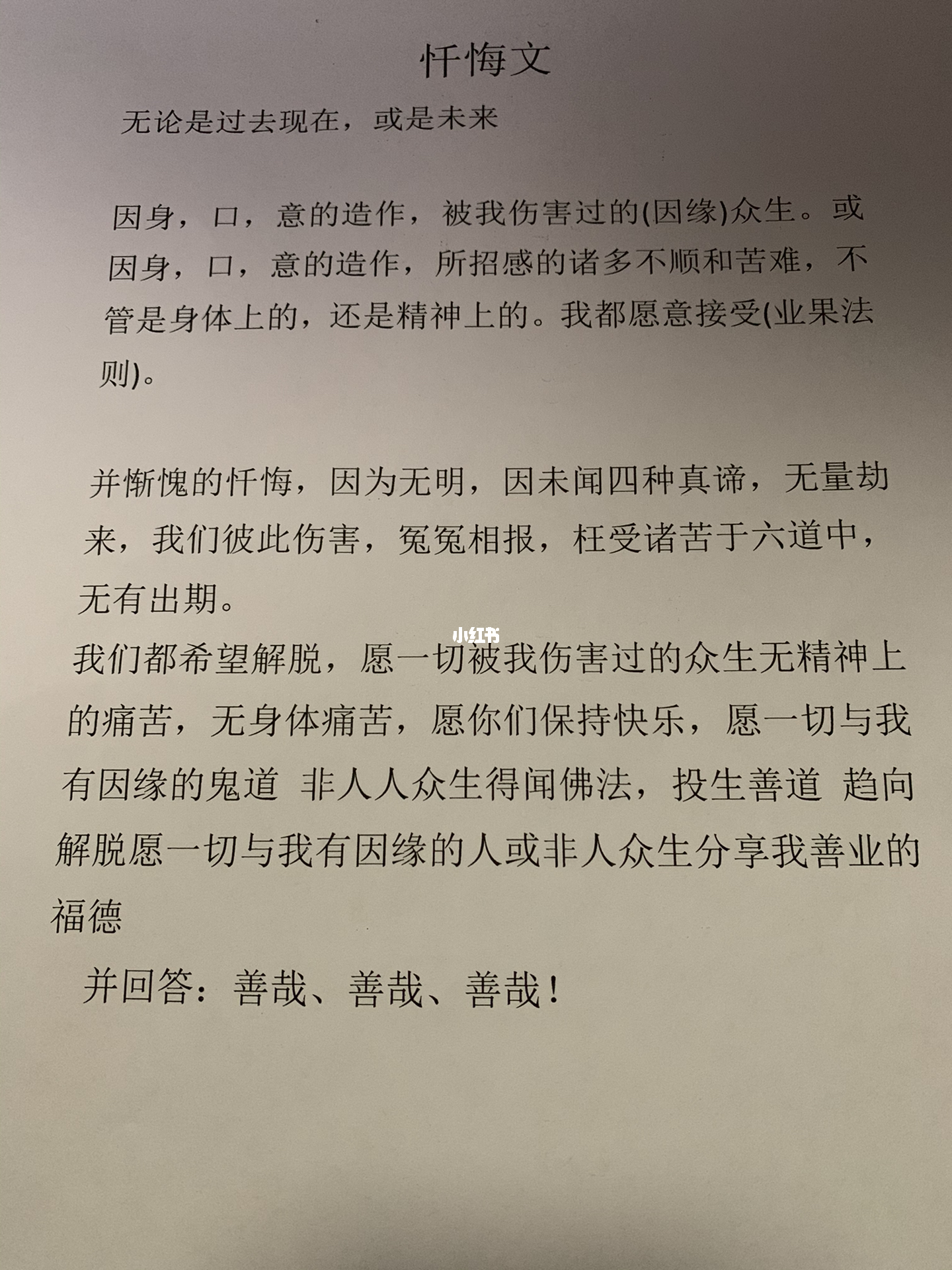 最新忏悔文字选，与自然私密对话，探寻内心平和之旅