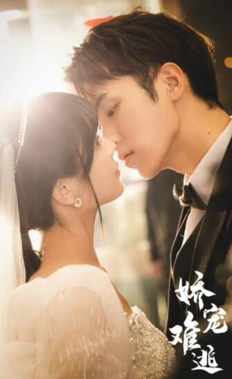 娇妻难逃，秦雅滢新篇章开启