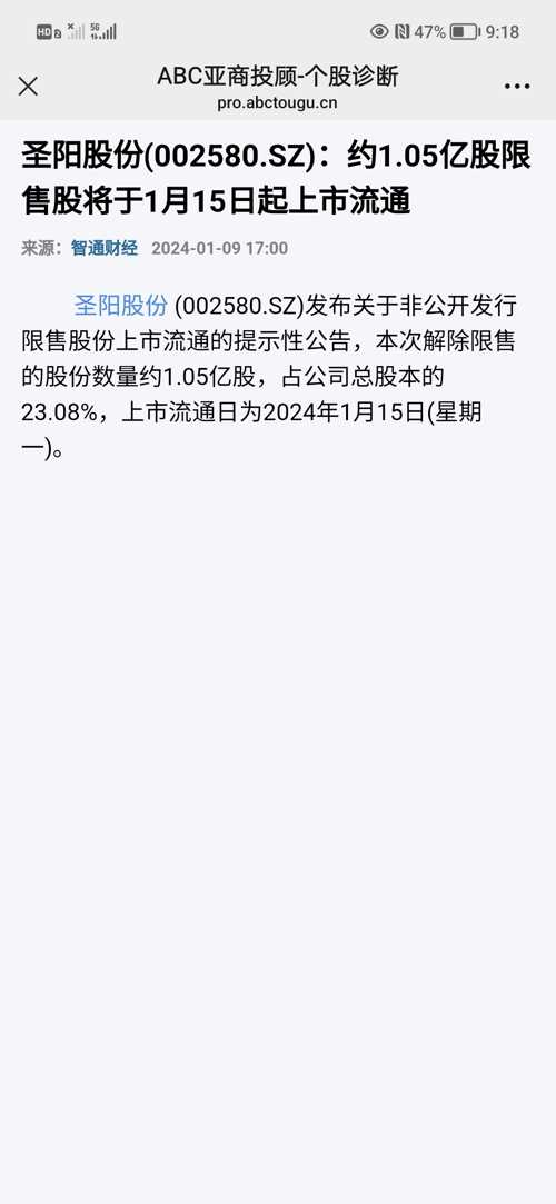 圣阳股份资讯速递，小巷中的隐藏特色小店揭秘