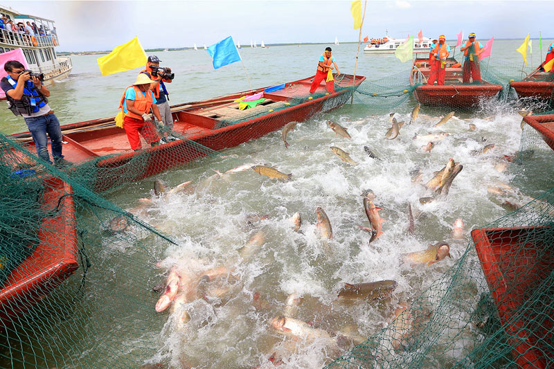 捕鱼季盛况,捕鱼季盛况，巷弄深处的渔韵小店