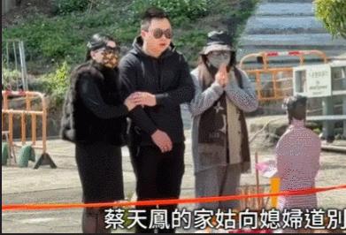 蔡天凤最新动态更新