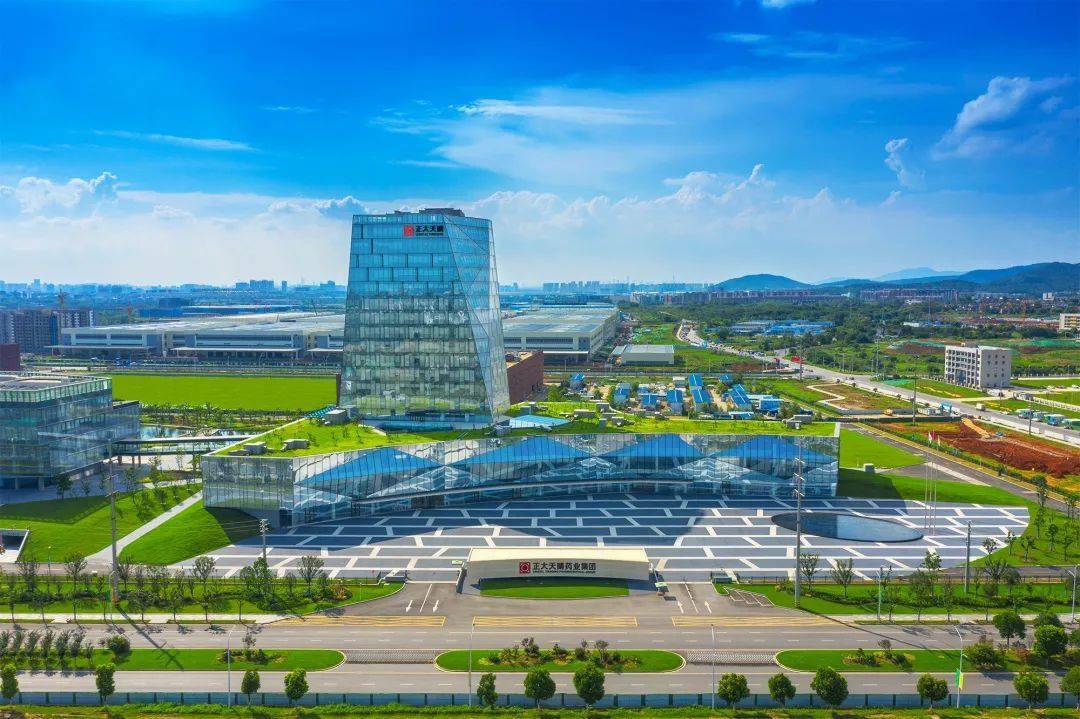 正大天晴是否是上市公司？