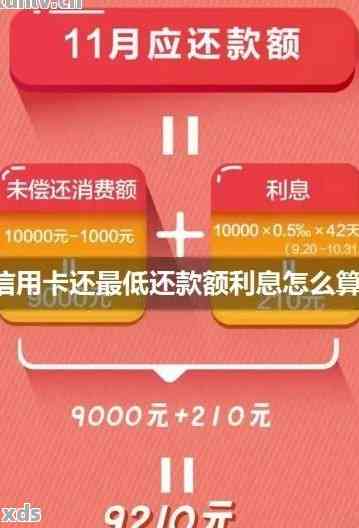 最新最低还款额度深度解析及实用建议