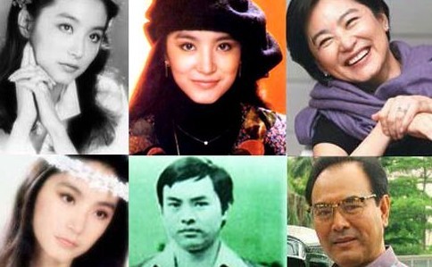 演员高枫,演艺之路的闪耀之星