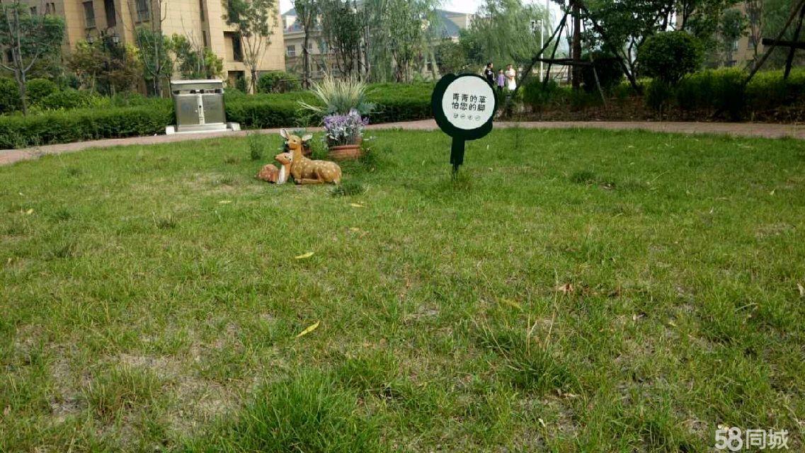 瑞基澜凤府最新动态更新速递