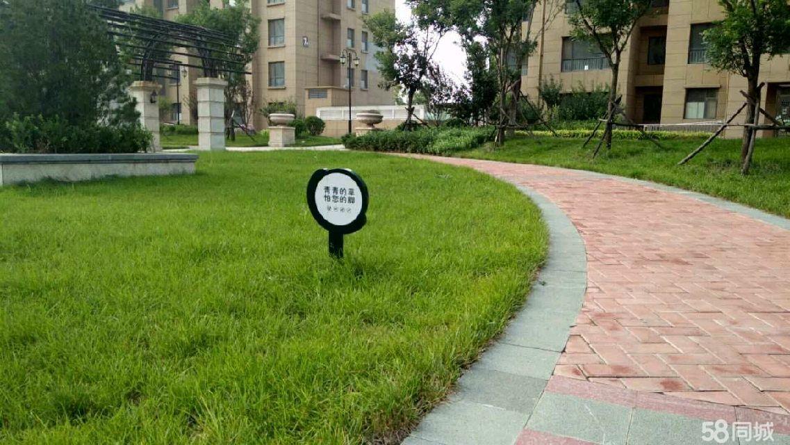 瑞基澜凤府最新动态更新速递