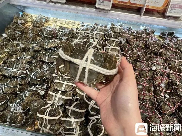 山东螃蟹价格最新动态更新