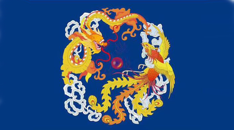 龙珠凤羽最新动态揭秘