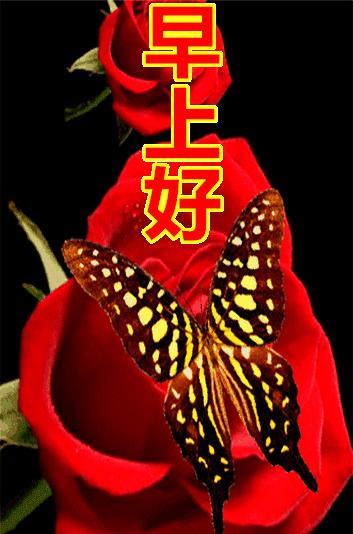 体育用品 第3页