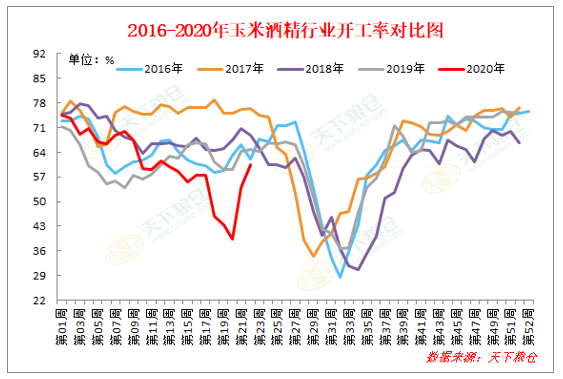 最新玉米价格行情走势分析,科技与生活的融合影响玉米市场动态