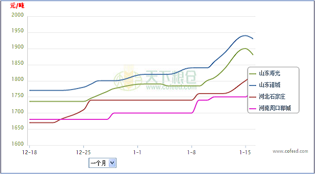 最新玉米价格行情走势分析,科技与生活的融合影响玉米市场动态